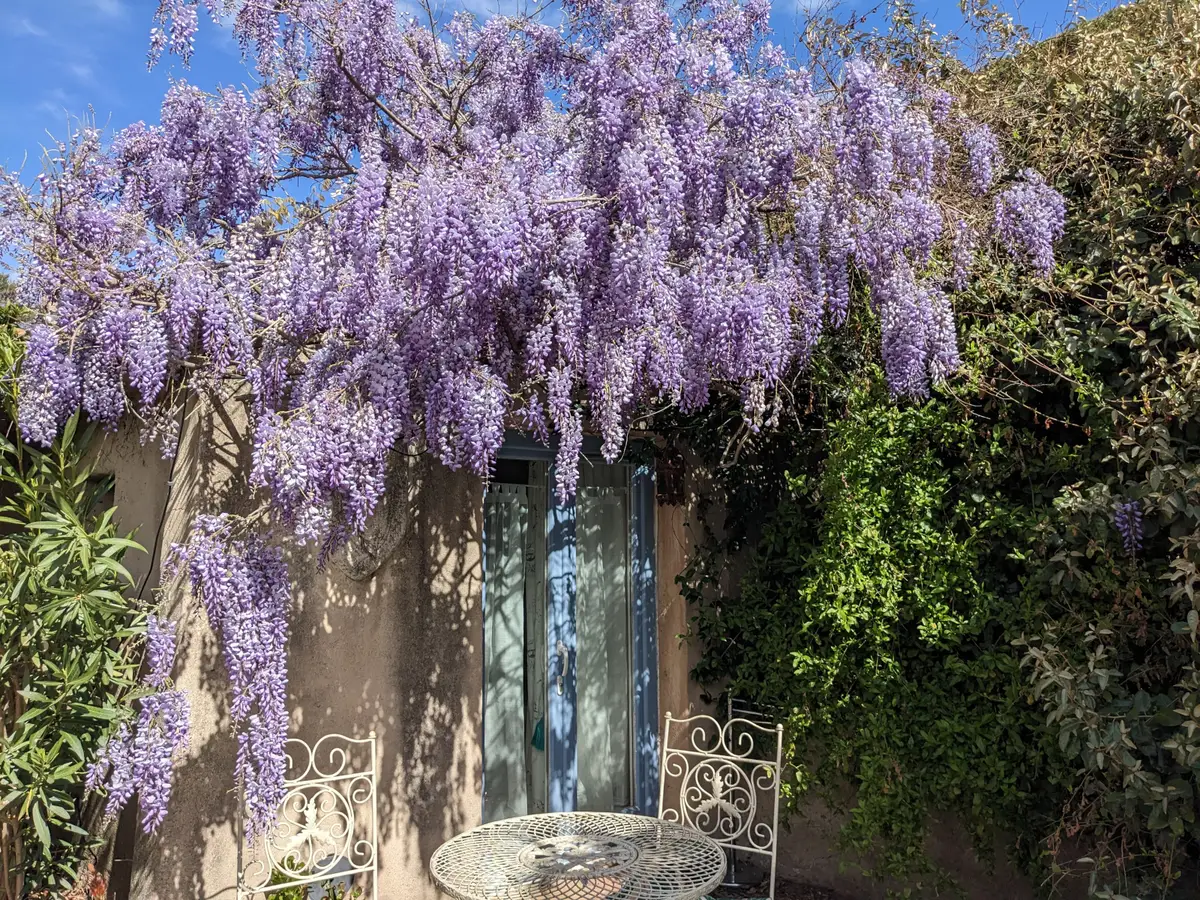 Terrasse de la chambre d'hôtes Olive à l'Amandari