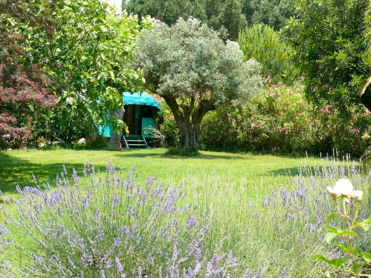 Hébergement en Roulotte à L'Amandari maison d'hôtes dans le Golfe de Saint-Tropez
